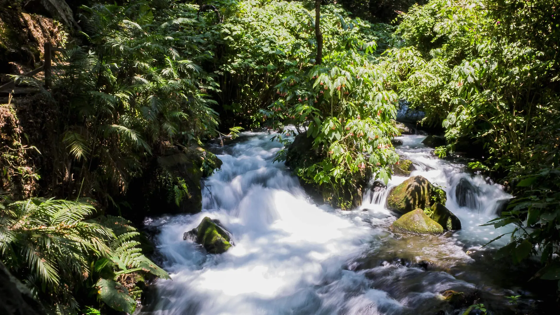 PARQUE URUAPAN_JGS (14)